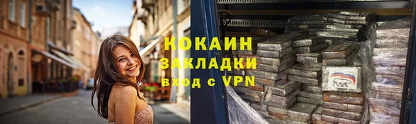 шишки Медвежьегорск