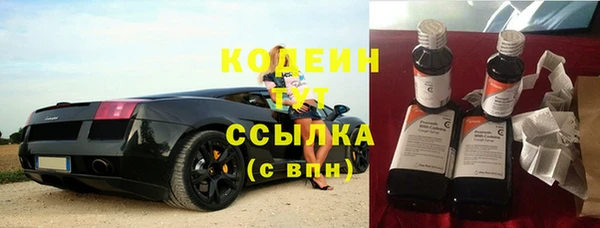 дживик Абаза