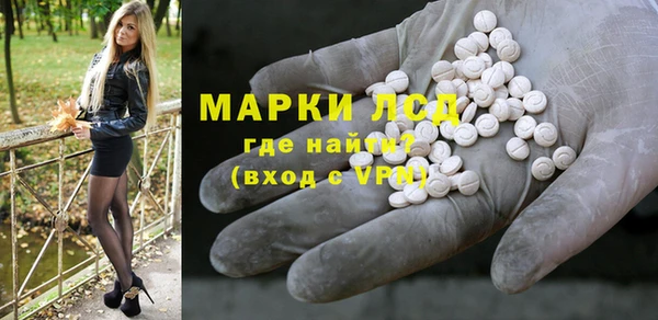 шишки Медвежьегорск