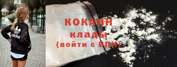 дживик Абаза